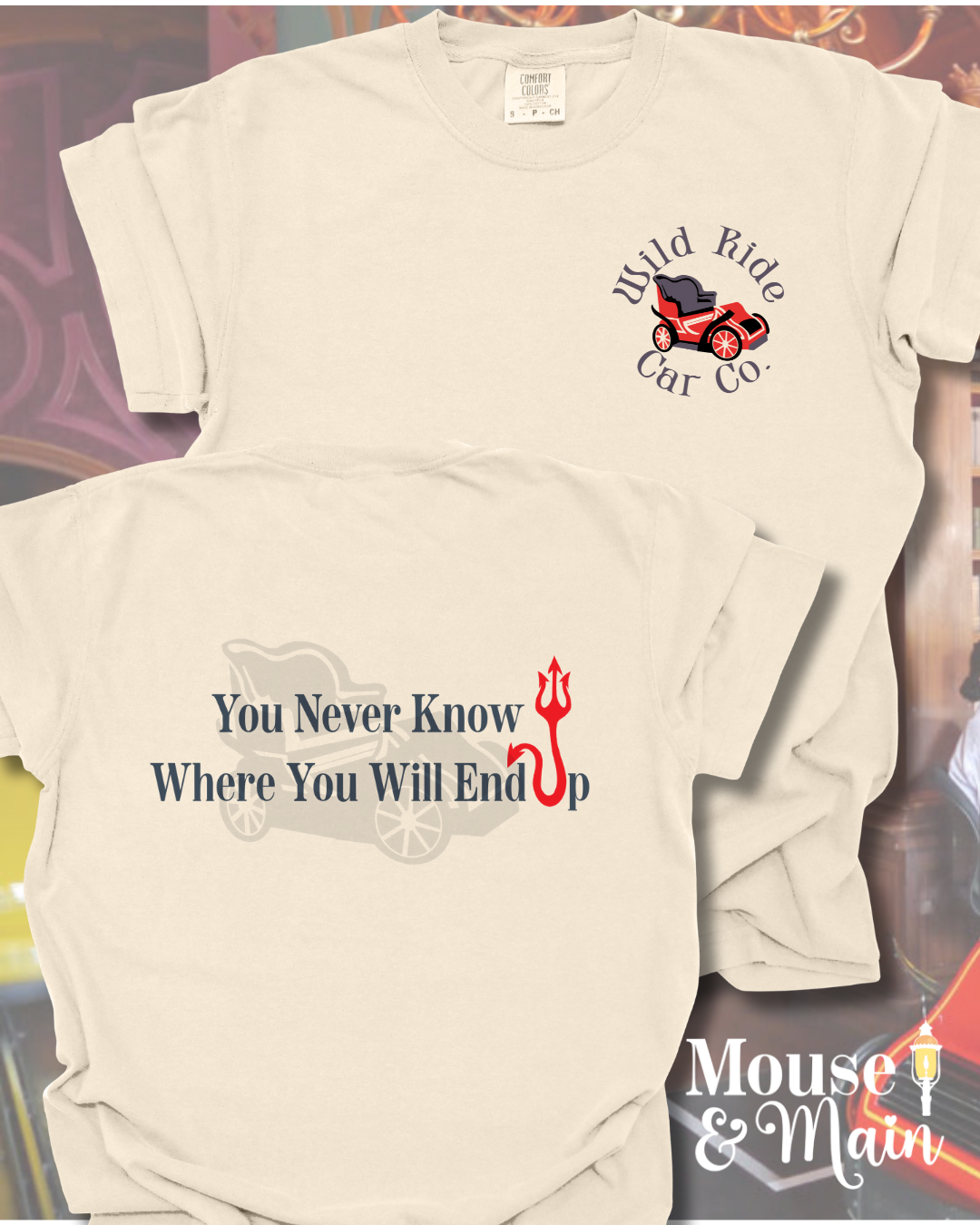 Subtle Disney-inspired t-shirt styled in a flat lay, showing both front and back designs with retro theme park ride graphics and playful typography.